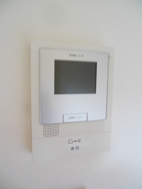 Security. Monitor with a intercom
