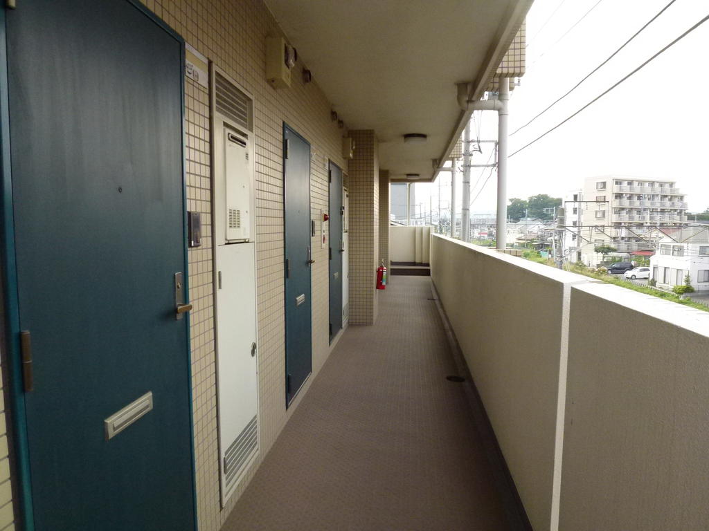Parking lot. Entrance before the corridor
