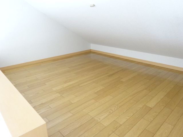 Other room space. Loft to use it is up to you