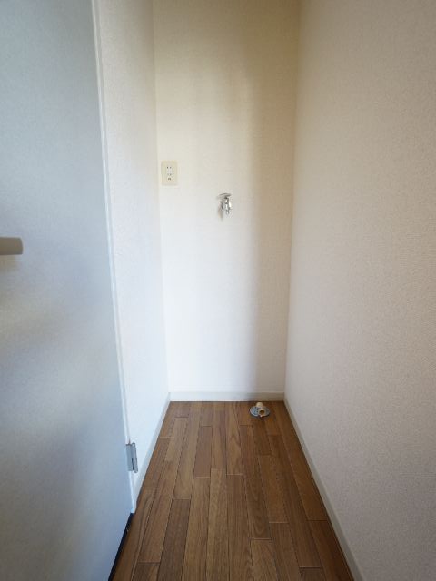 Washroom. This washing machine Storage.