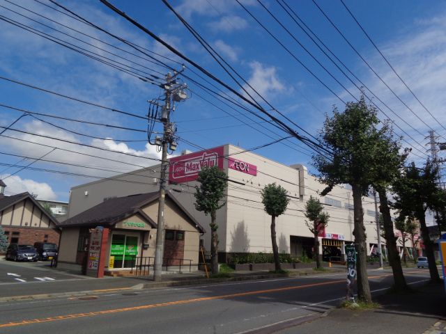 Supermarket. Maxvalu until the (super) 440m