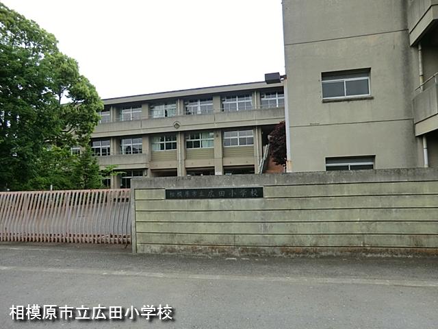 Primary school