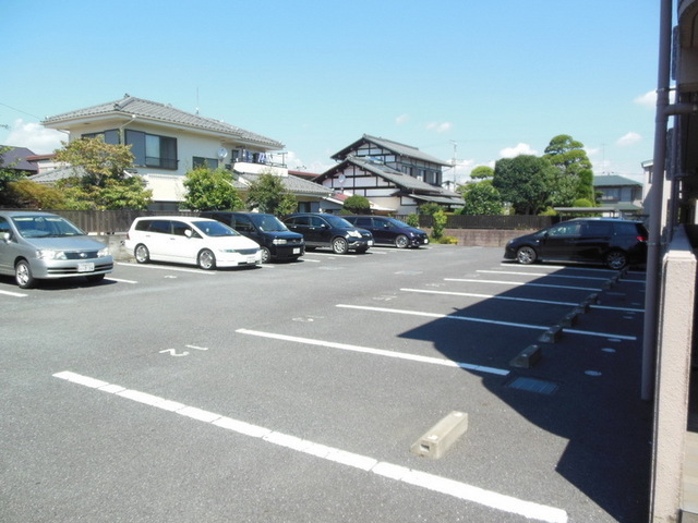 Parking lot. Parking space with a breadth