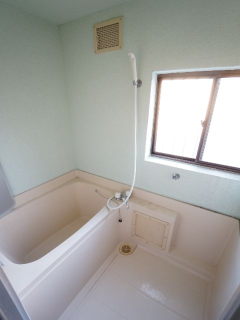 Bath. With bright window