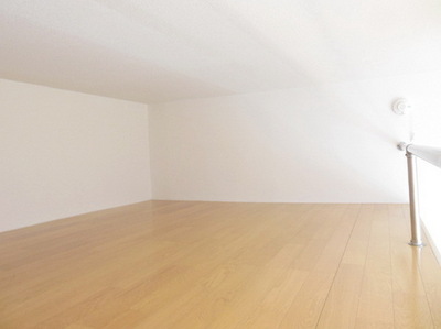 Other room space. It is a loft space and spacious