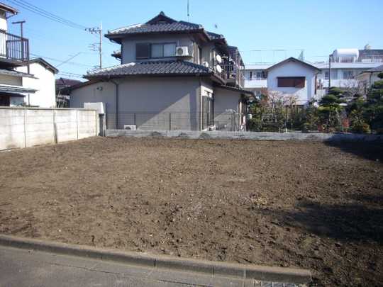 Local land photo. Appearance (1)