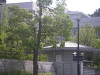 University ・ Junior college. Private Tama Art University (University ・ 2540m up to junior college)