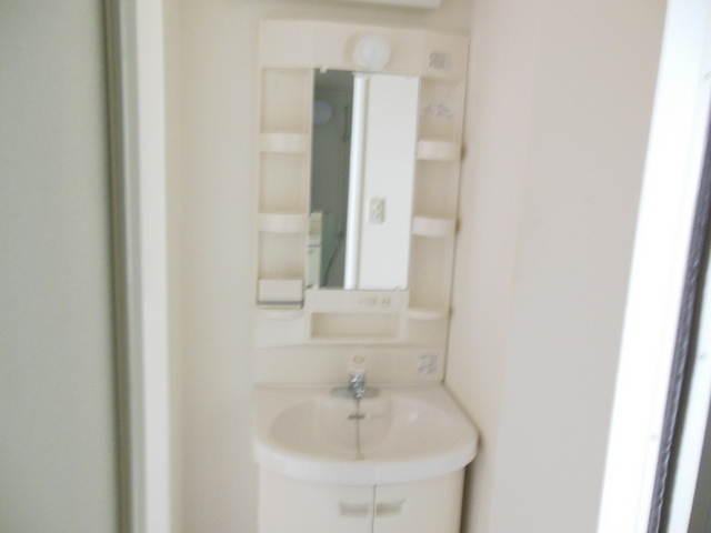 Washroom. Beautiful independent wash basin