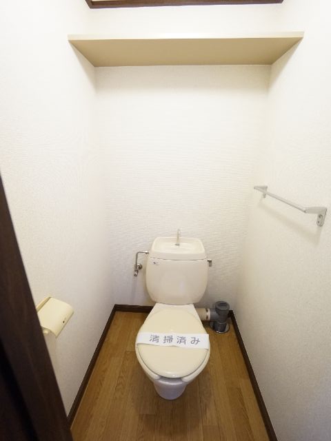 Toilet. With shelf