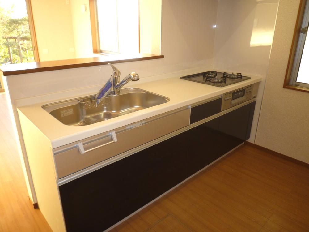 Kitchen. Popular face-to-face kitchen