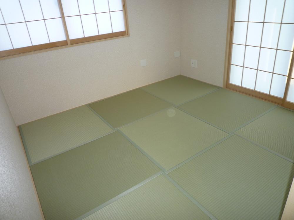 Other introspection. Japanese-style room with a calm