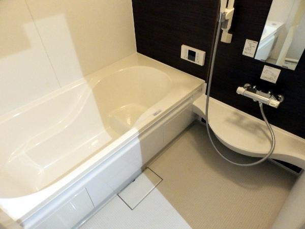 Bathroom. Indoor (10 May 2013) Shooting