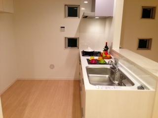 Kitchen. Indoor (11 May 2013) Shooting