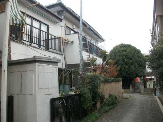 Local land photo. Appearance 1