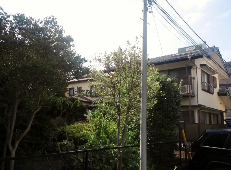 Local land photo. Land about 98 square meters ・ No construction conditions