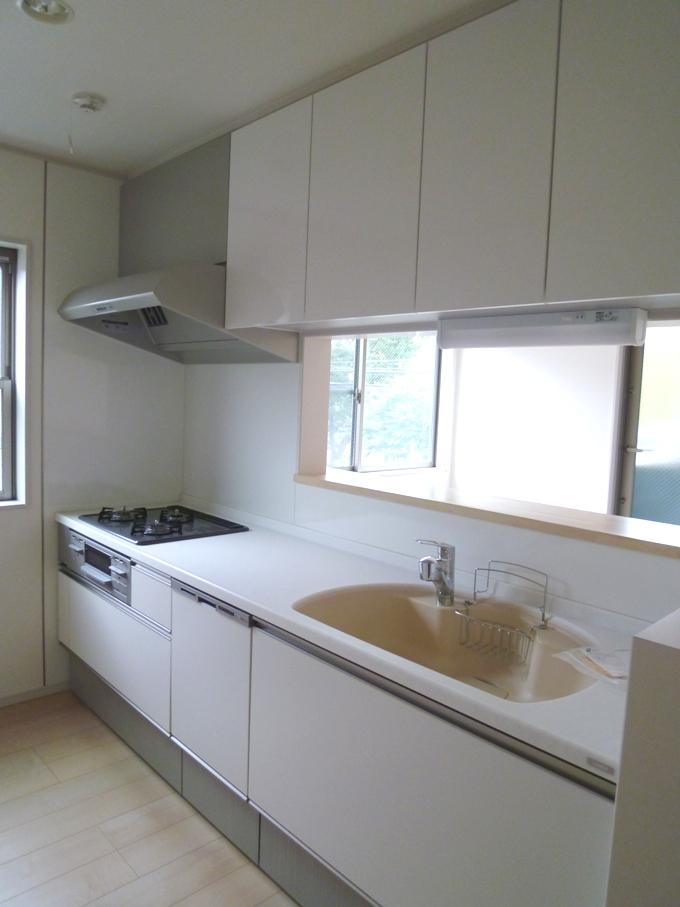 Kitchen. System kitchen with pull-open-type dish washing and drying machine