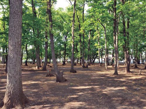 park. Rinkan Park: bicycle about 10 minutes (2310m)