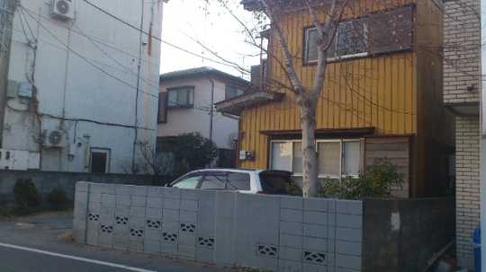 Local land photo. Appearance (1)