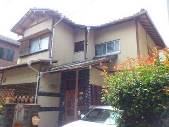 Local land photo. Appearance (1)