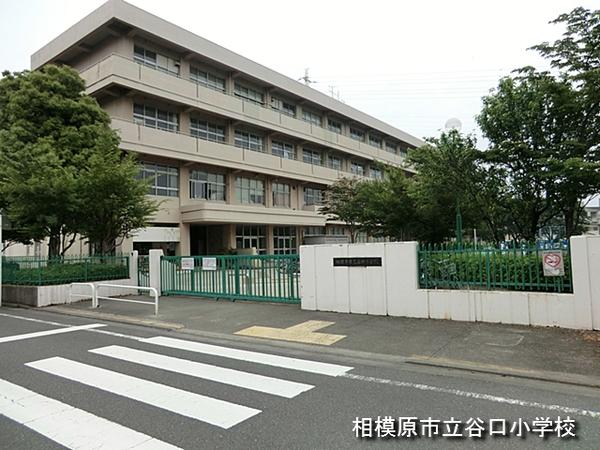 Junior high school. 300m until Taniguchi junior high school