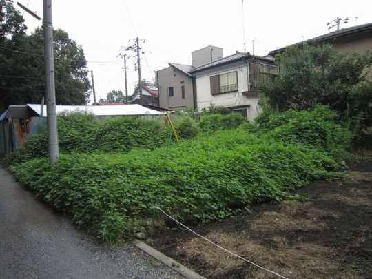 Local land photo. appearance