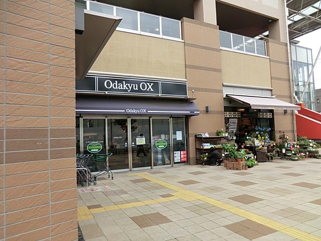 Supermarket. OdakyuOX 719m to Sagamihara store