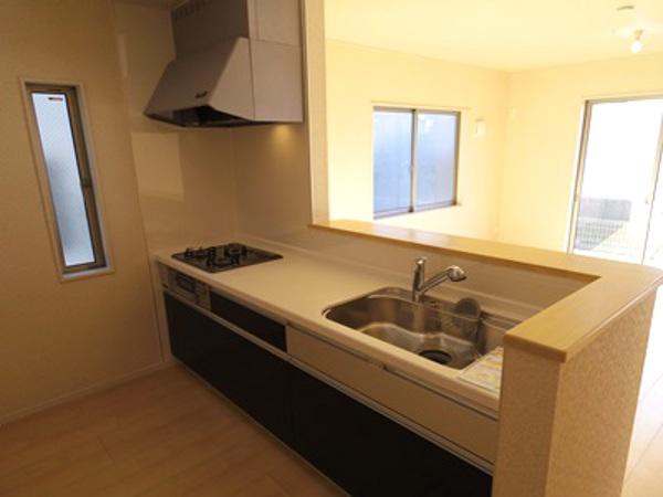 Kitchen. Indoor (12 May 2013) Shooting