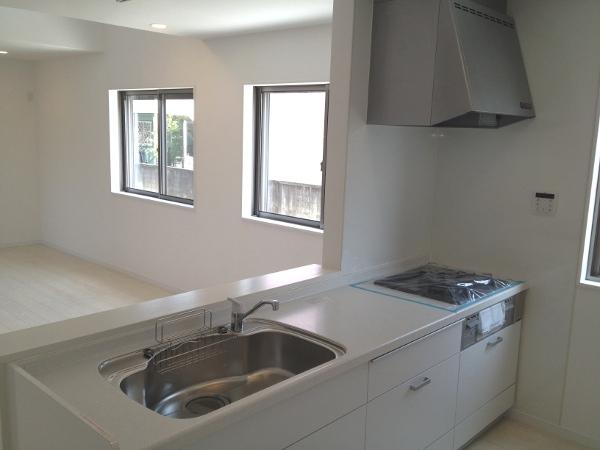 Kitchen. Indoor (10 May 2013) Shooting