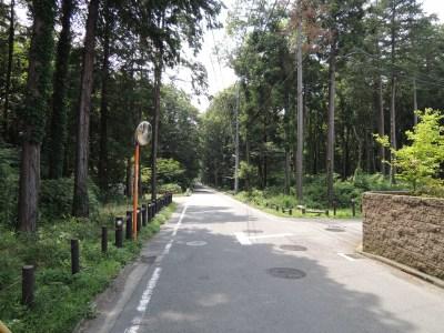 park. 179m to Sagamihara central green space (forest Sunlight)