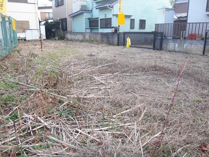 Local land photo. Local (12 May 2013) Shooting