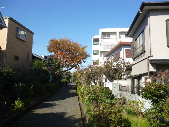 Other local. The south side of the green road, Local (11 May 2013) Shooting