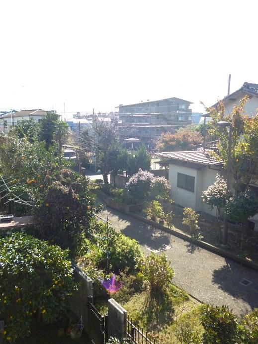 View photos from the local. Overlooking the south side from the second floor, Local (11 May 2013) Shooting