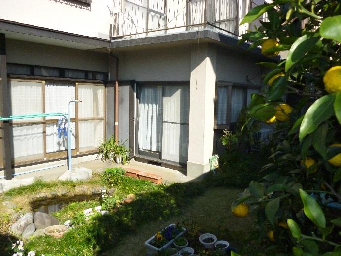 Other local. South garden, Local (11 May 2013) Shooting