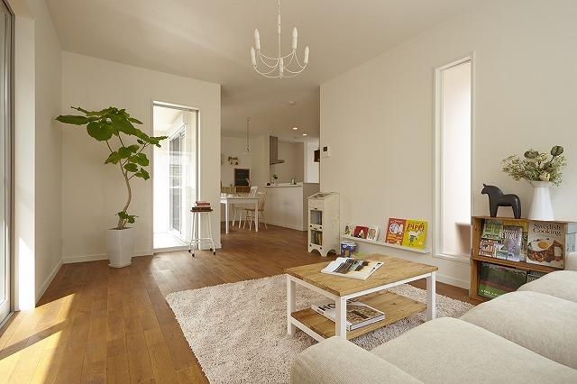 Model house photo. Model house