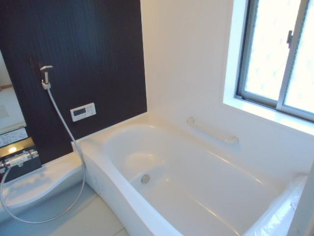 Bathroom. Indoor (12 May 2013) Shooting