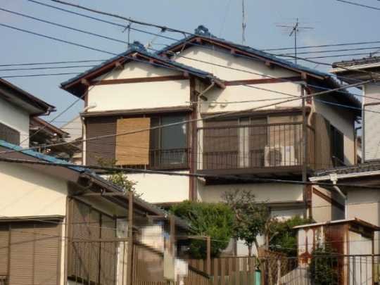 Local land photo. appearance