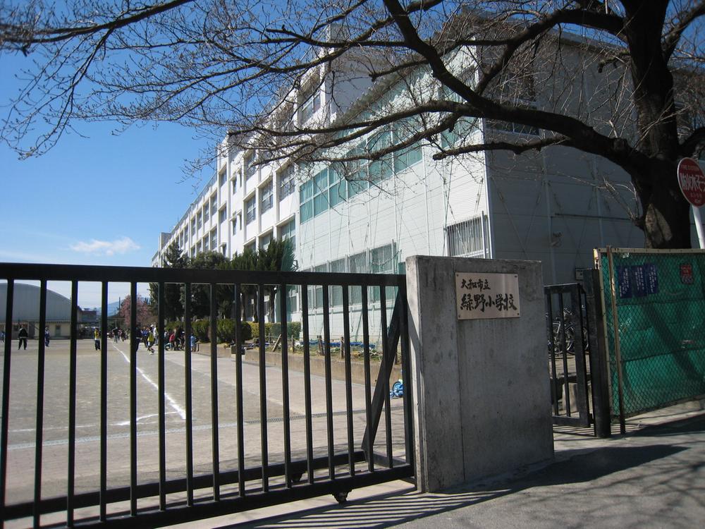 Other. Greenfields Primary School