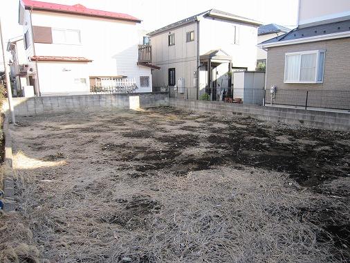 Local land photo. Local Photos