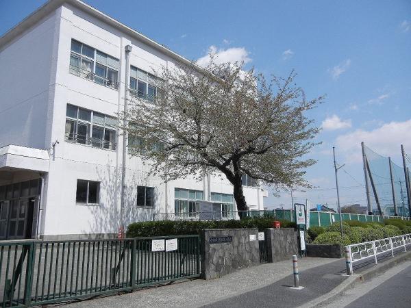 Primary school. Minamirinkan 600m up to elementary school