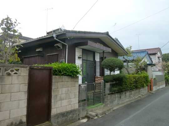 Local land photo. appearance