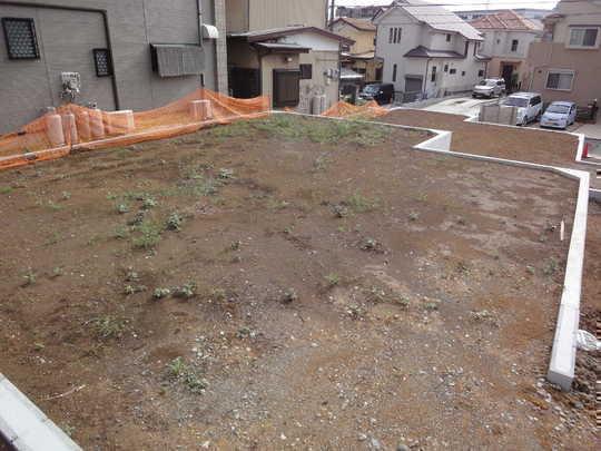 Local land photo. Local Photos