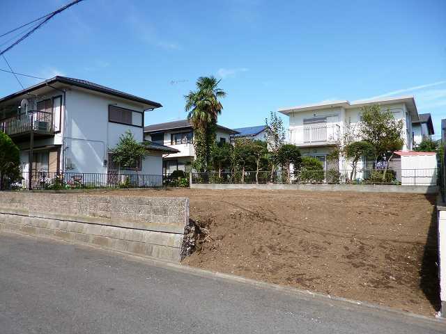 Local land photo. appearance