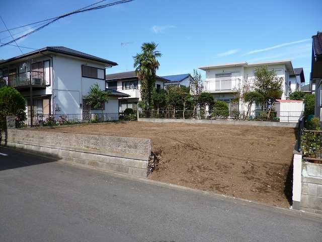 Local land photo. appearance