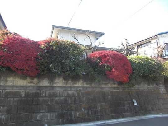 Local land photo. Subject property appearance photo