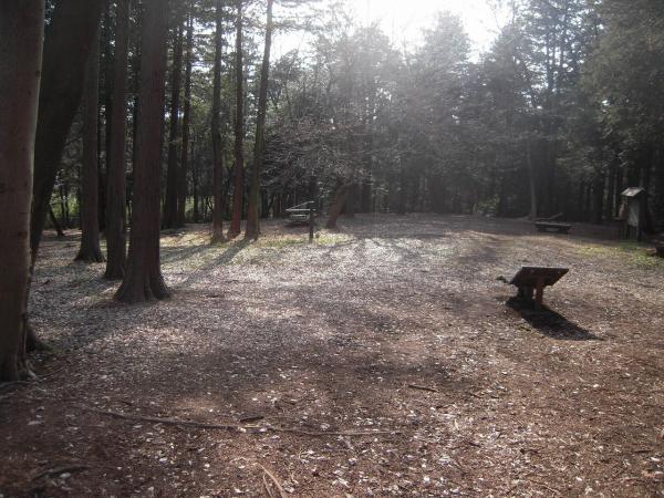 park. 1900m until Izumi Tsuruma of forest park