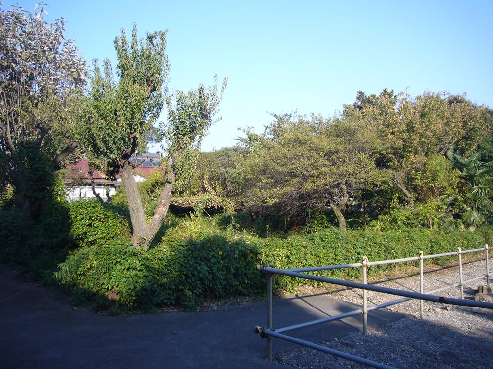 Local land photo. Local (11 May 2013) Shooting