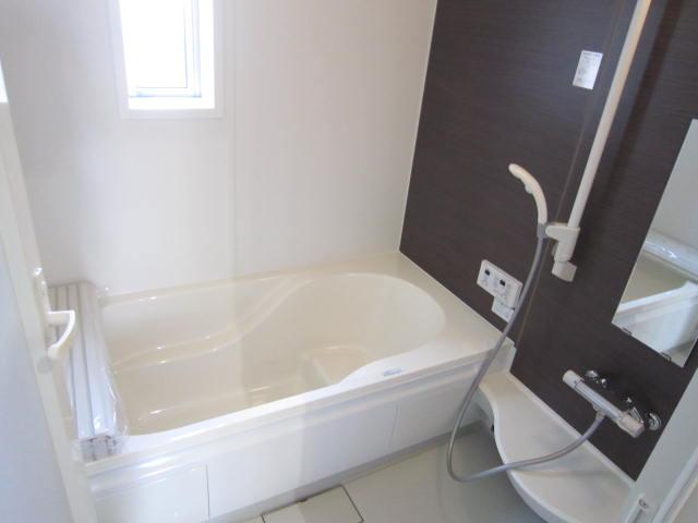 Bathroom. Indoor (11 May 2013) Shooting