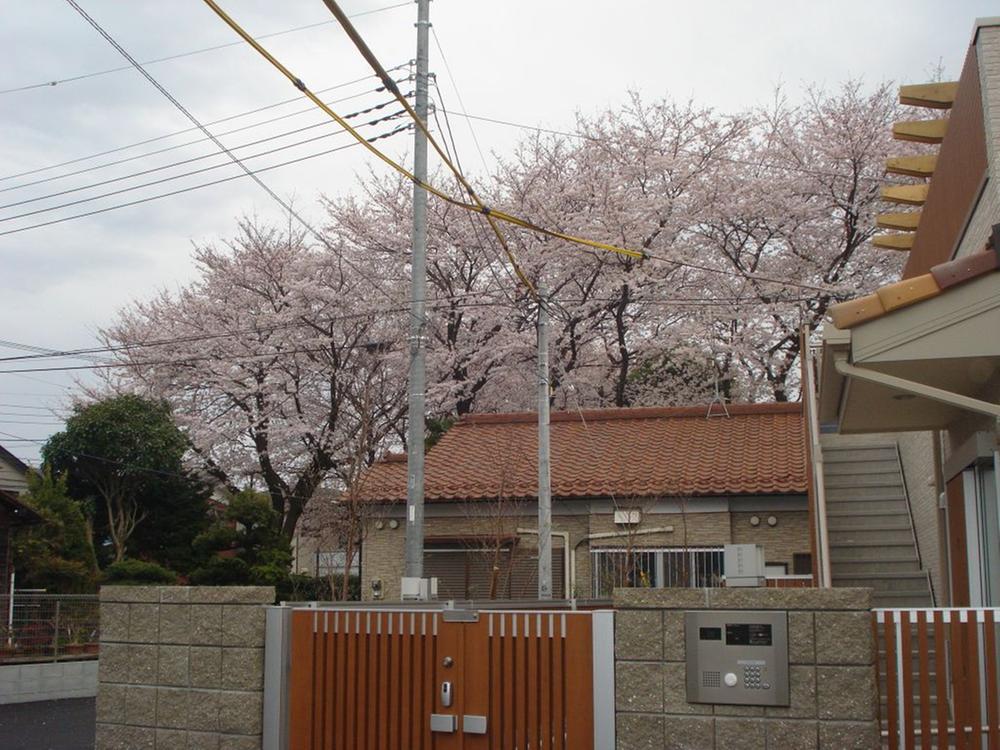 kindergarten ・ Nursery. 482m to the forest nursery of Sakura