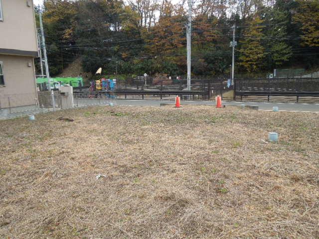 Local land photo. Local (12 May 2013) Shooting