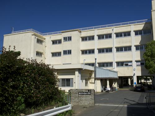 Primary school. Municipal Eda until elementary school 760m